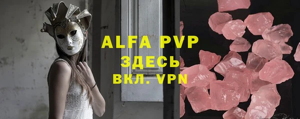 индика Гусь-Хрустальный