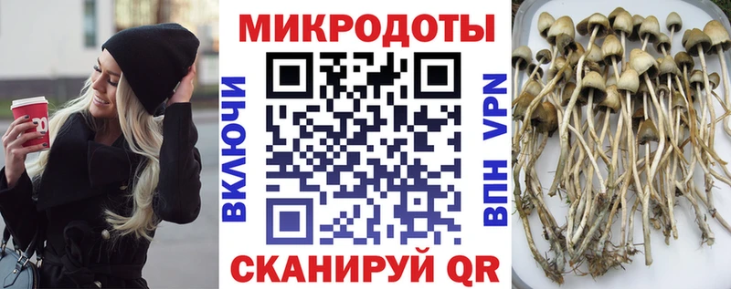 Псилоцибиновые грибы MAGIC MUSHROOMS  Вуктыл 